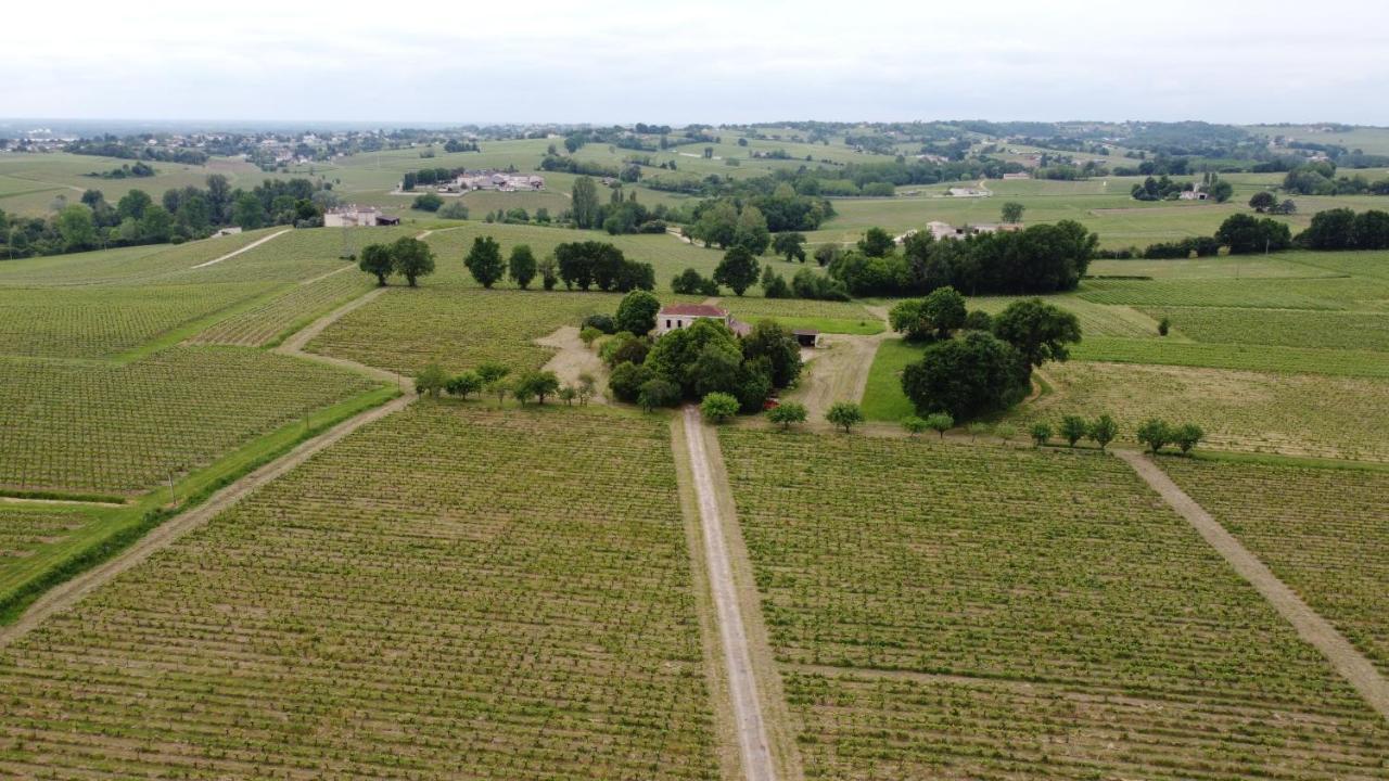 Chateau Monichot Organic Vineyard Tauriac  Εξωτερικό φωτογραφία
